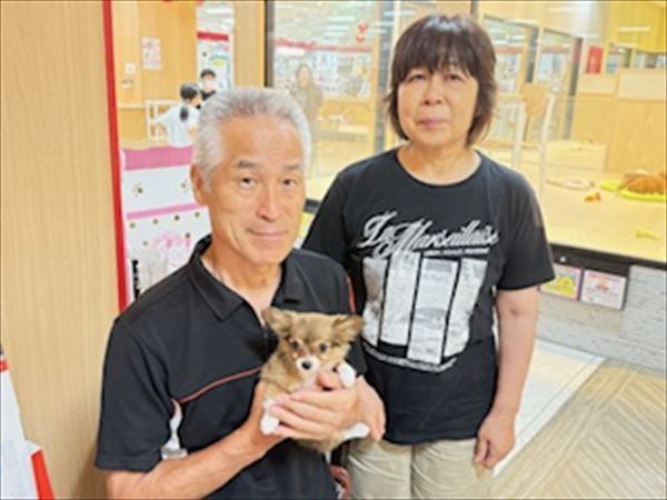 写真