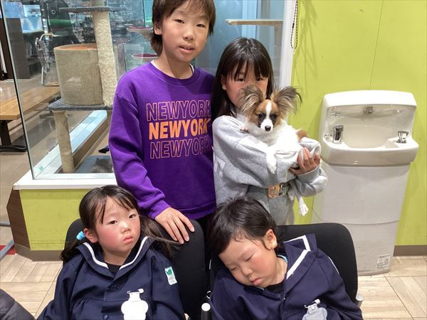 写真