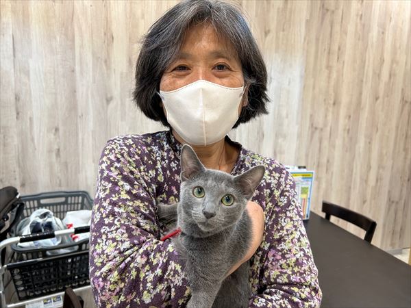 写真
