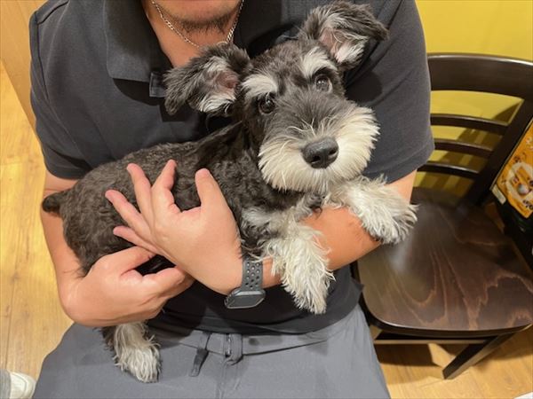 写真