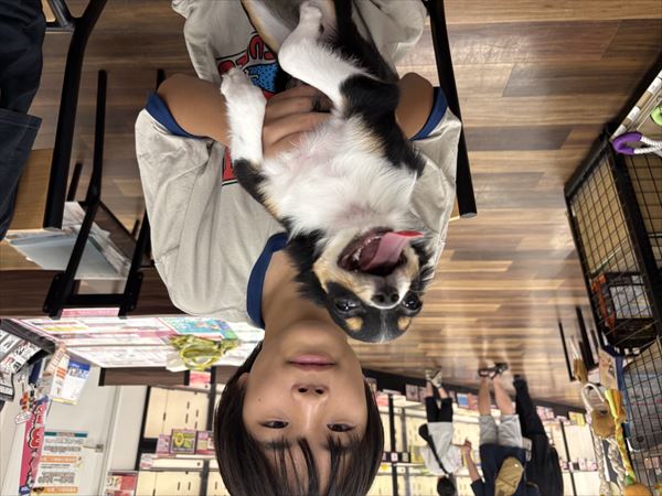 写真
