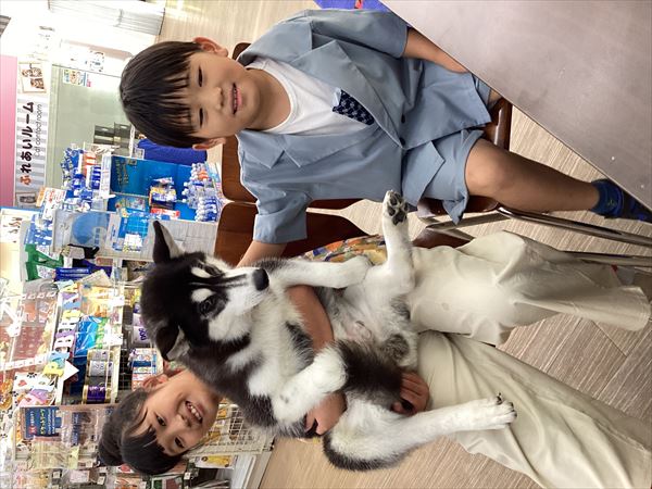 写真