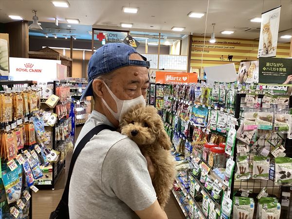 写真