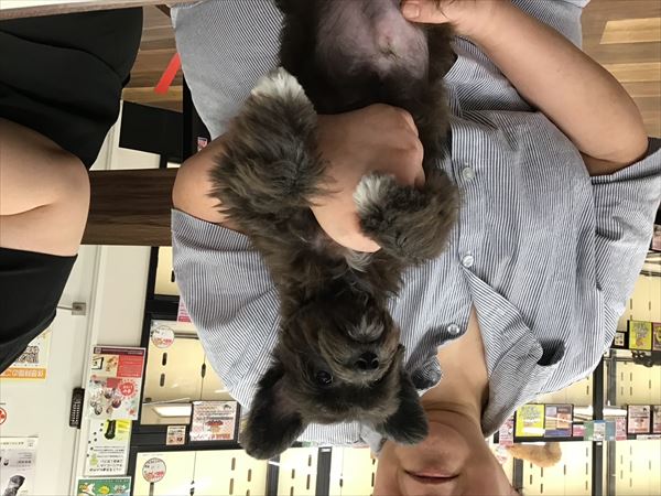 写真