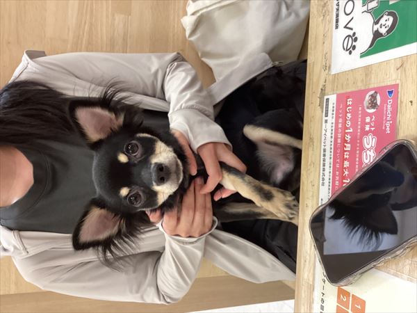 写真