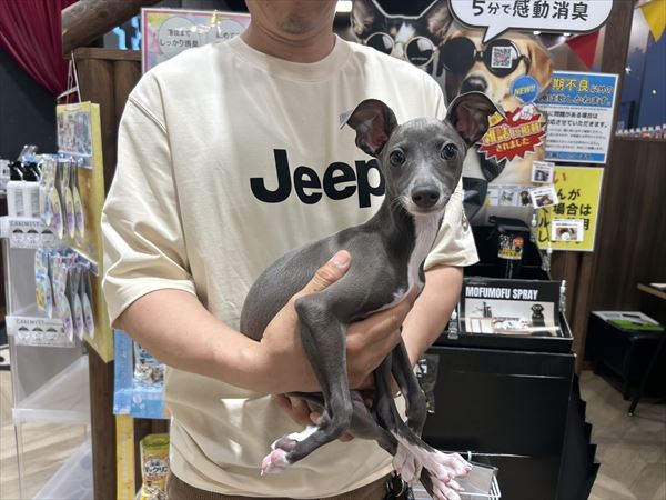 写真
