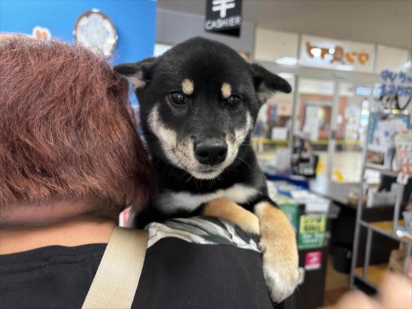 写真