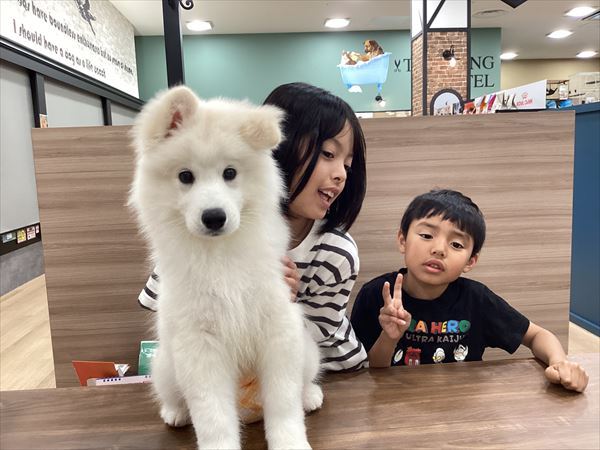 写真