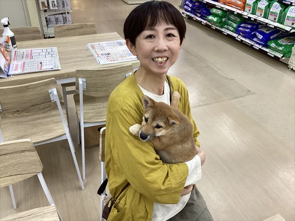 写真