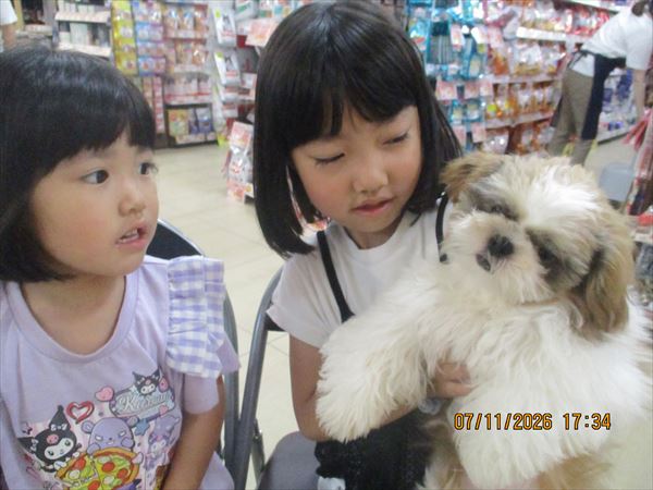 写真