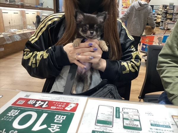 写真
