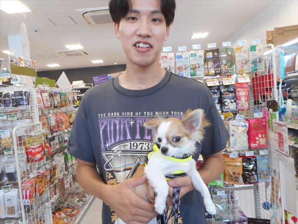 写真