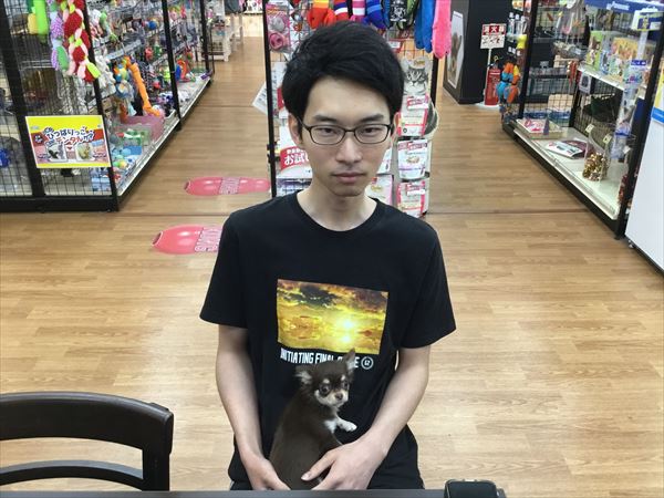 写真