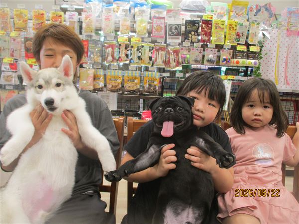 写真