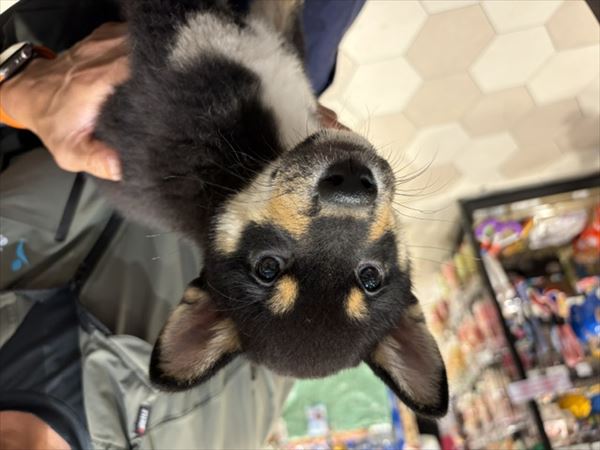 写真