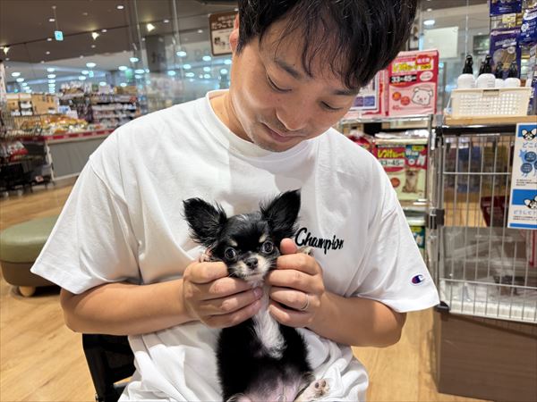 写真