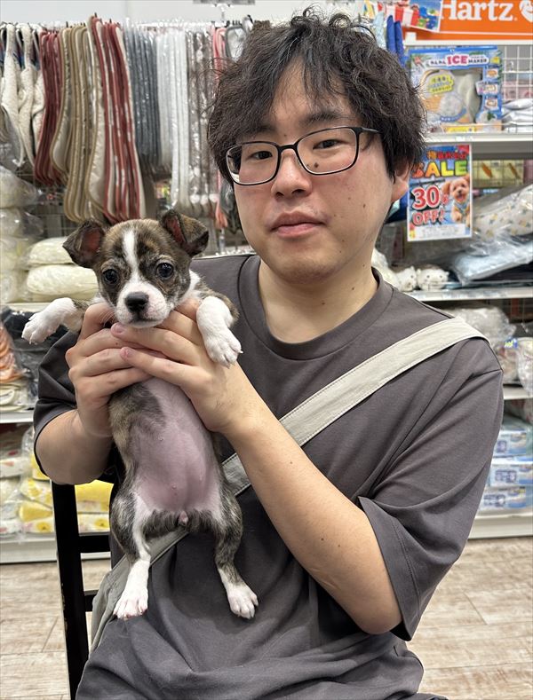 写真