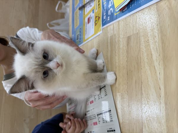 写真