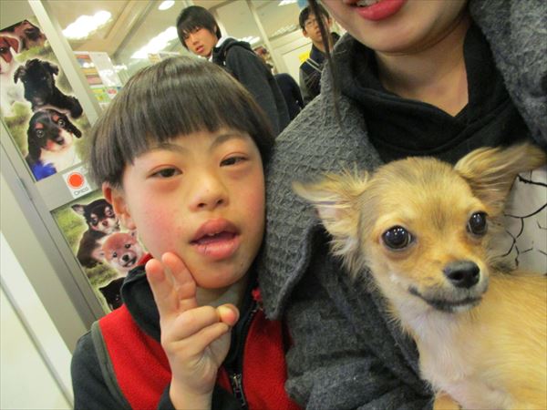 写真