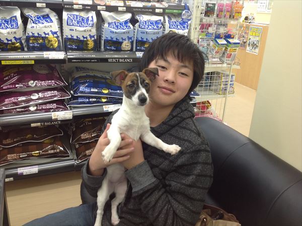 写真
