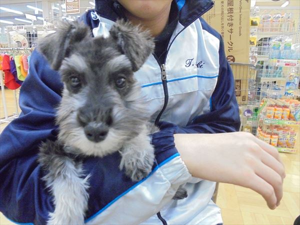 写真