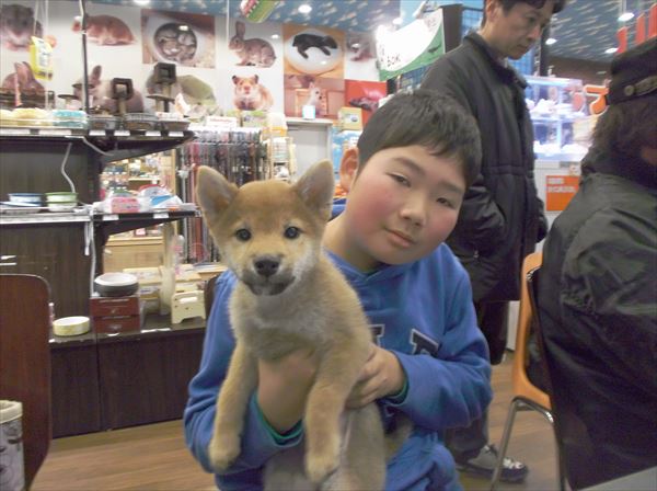 写真