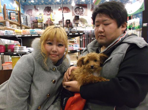 写真