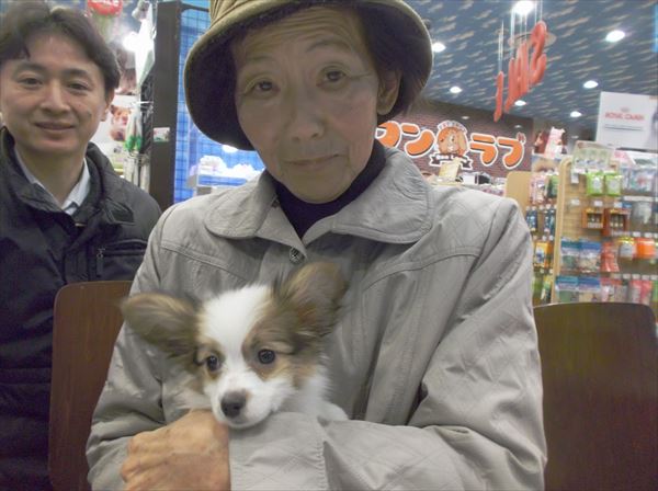 写真