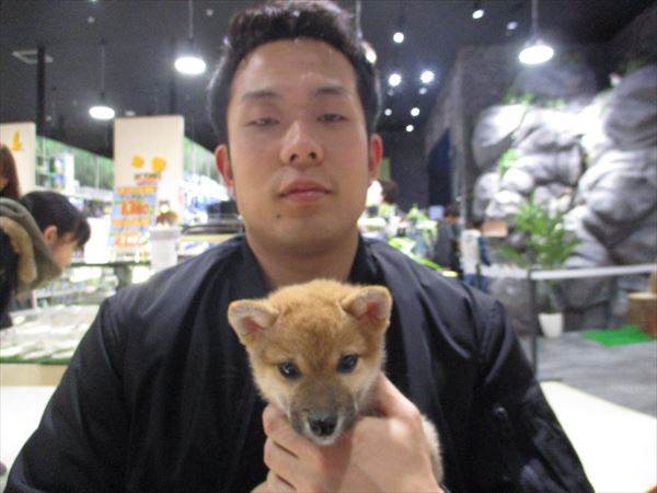 写真
