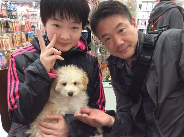 写真