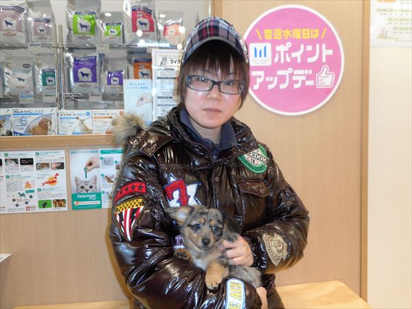 写真