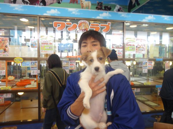 写真