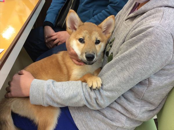 写真