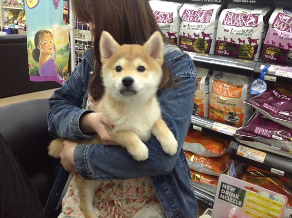 写真