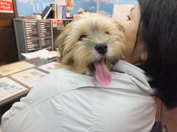 写真