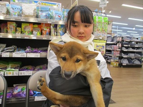 写真