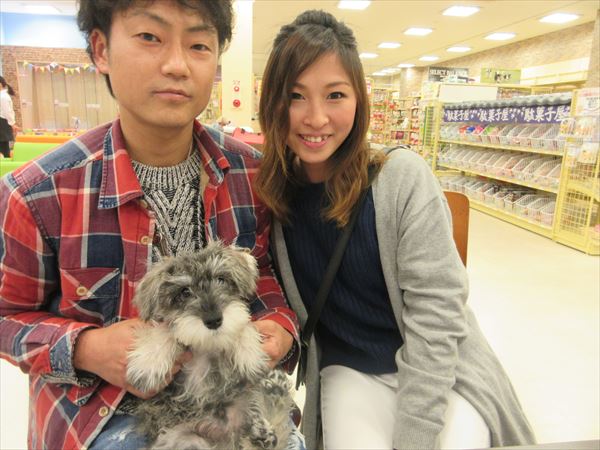 写真