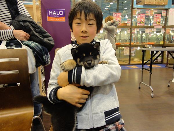 写真