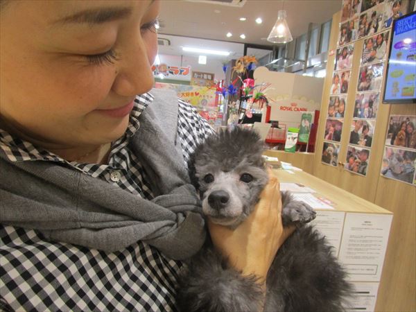 写真