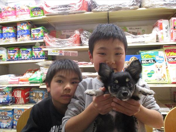 写真