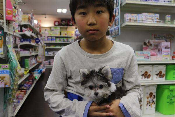 写真