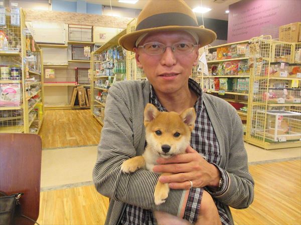 写真
