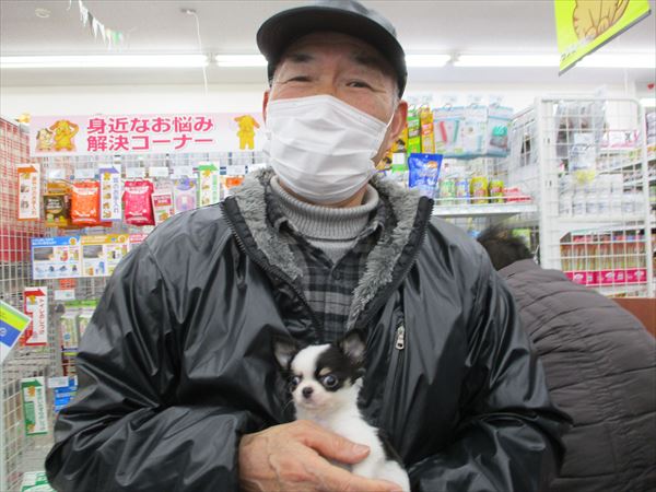 写真