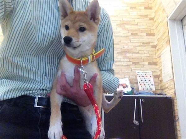 写真