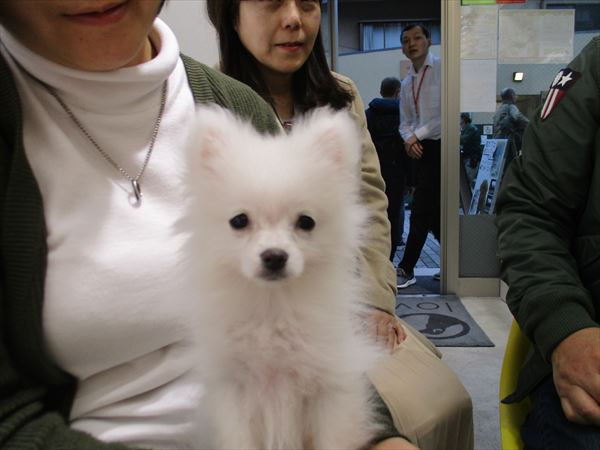 写真