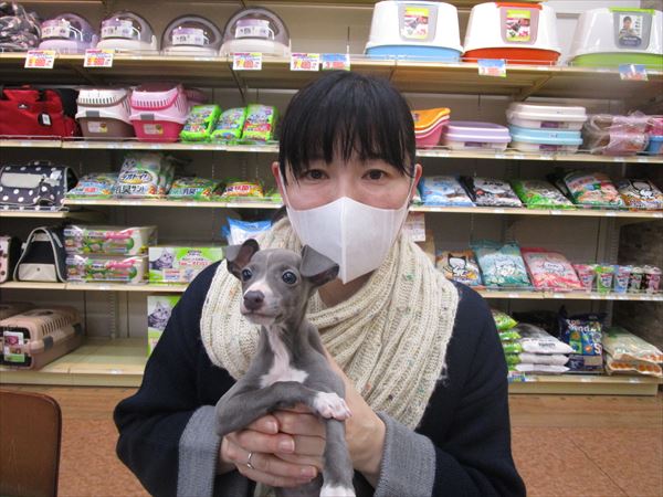 写真