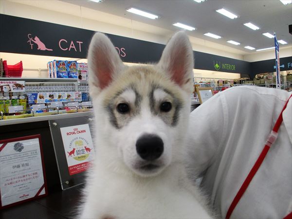 写真