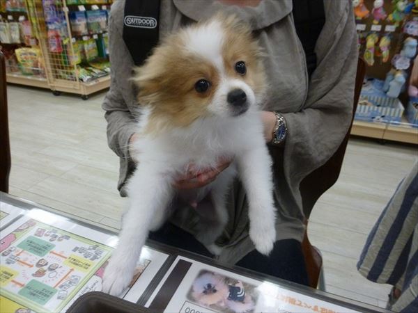 写真