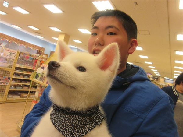 写真