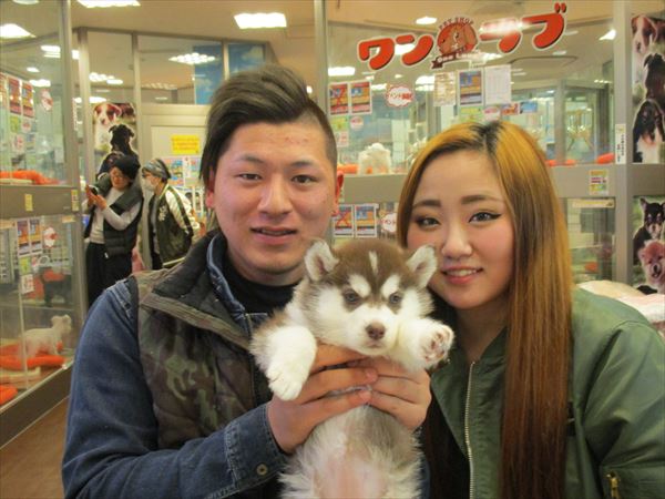 写真